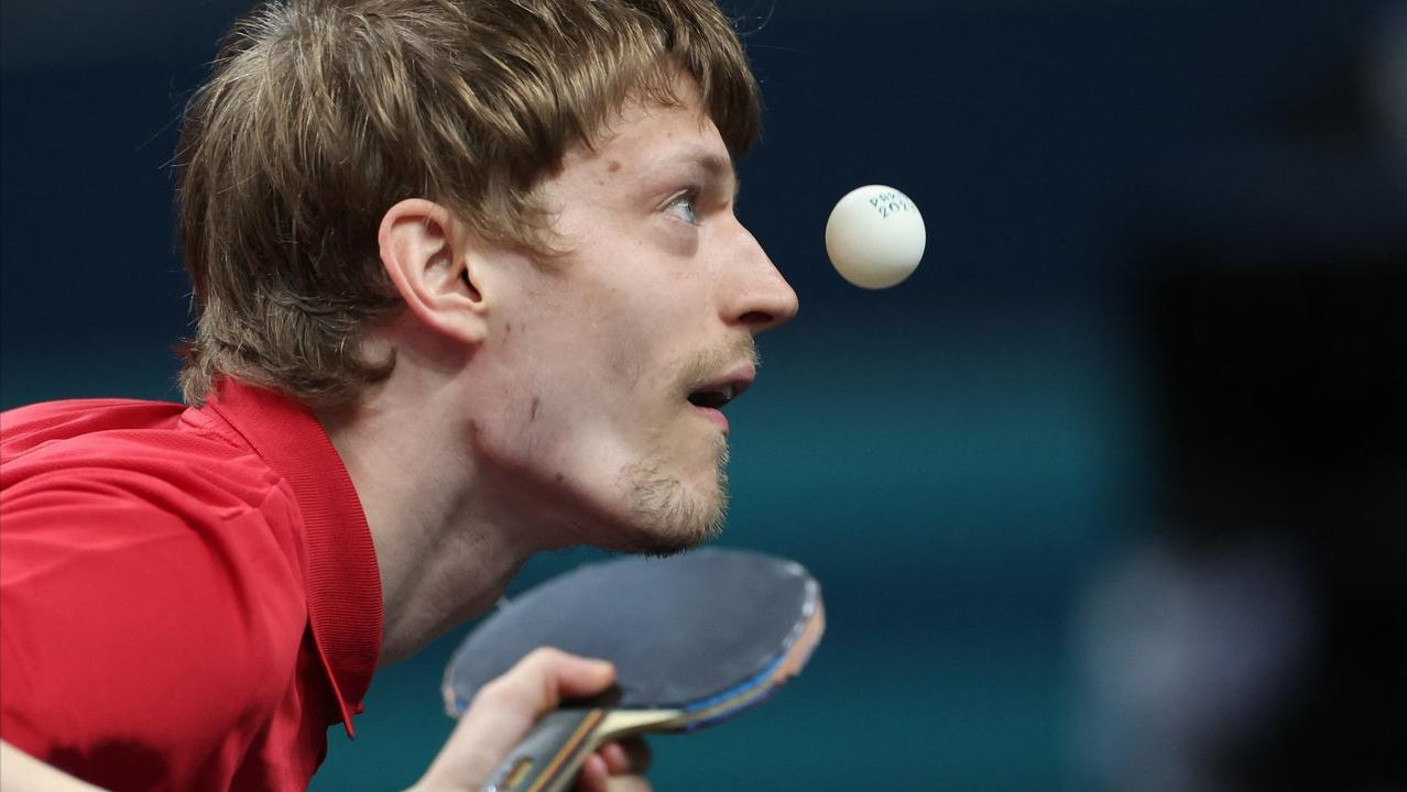 安排, 丹麦, 张禹珍 安排, 丹麦, 张禹珍